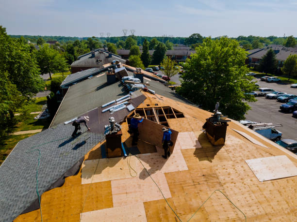 Best Flat Roof Repair Services  in Hicksville, OH