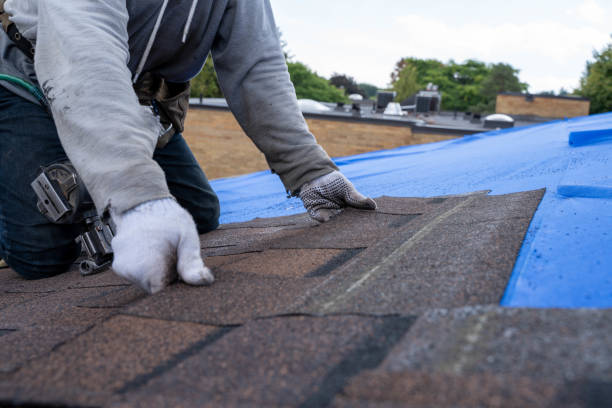 Best Roof Gutter Cleaning  in Hicksville, OH